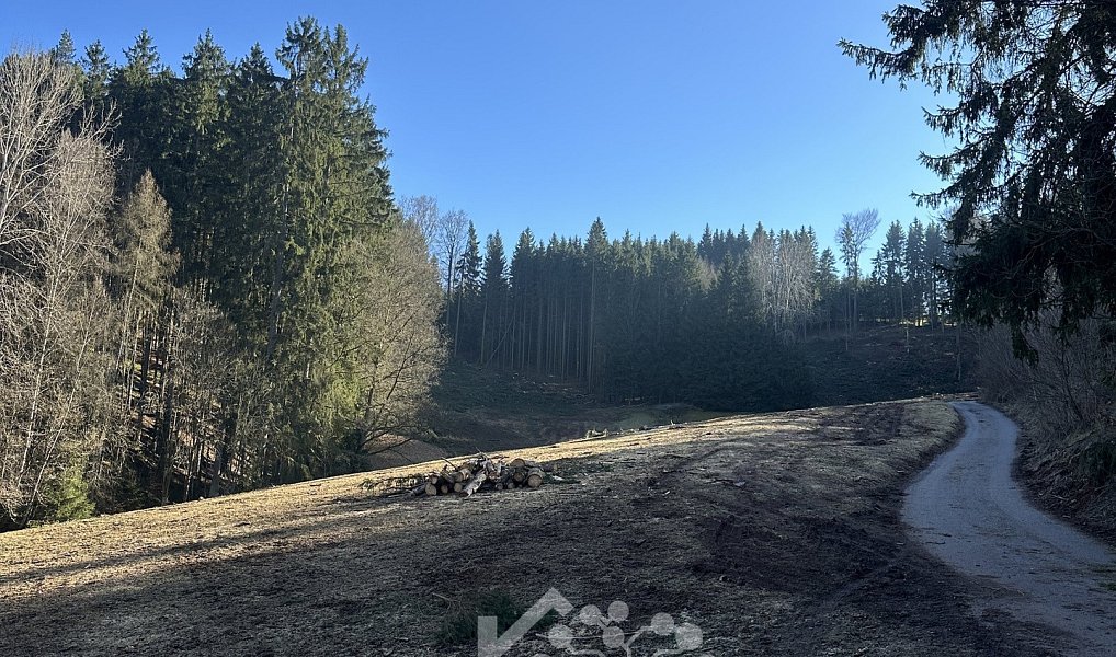 Prodej louky 15 029 m², Bozkov – náhled fotky 2