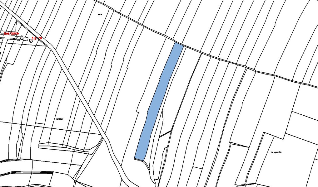 Prodej pole 12 454 m², Svrkyně – náhled fotky 4