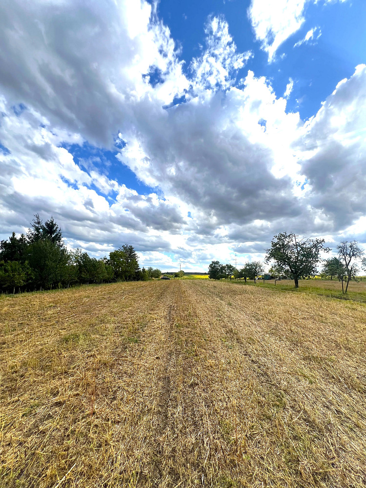 Prodej stavebního pozemku 2 662 m² – fotografie 5
