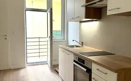 Pronájem bytu 1+1 46 m², U smaltovny, Praha 7 - Holešovice
