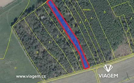 Prodej lesa 629 m², Koloveč, okres Domažlice
