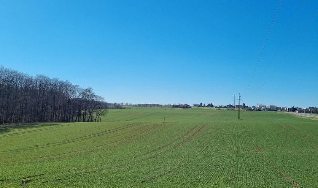 Prodej pole 17 432 m², Hrabyně – náhled fotky 4