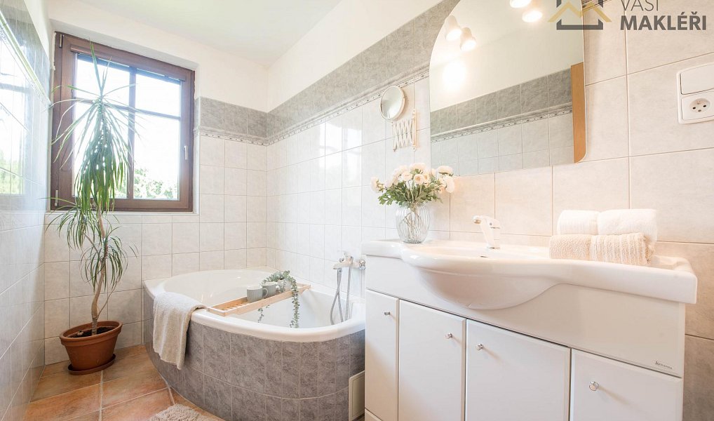 Prodej domu 433 m² s pozemkem 5 151 m², Rudník – náhled fotky 7