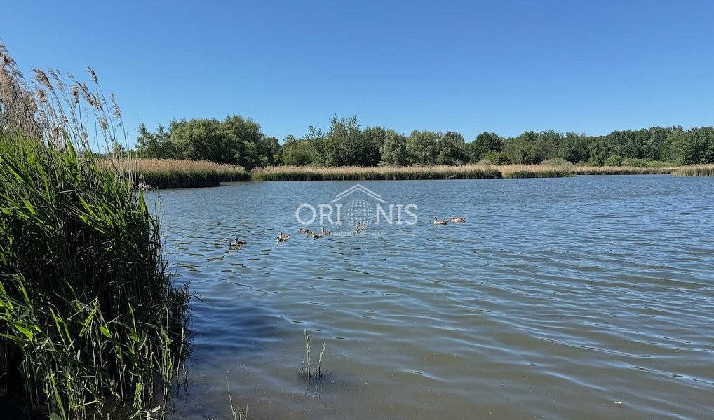 Prodej vodní plochy 2 463 m², Údlice – náhled fotky 5