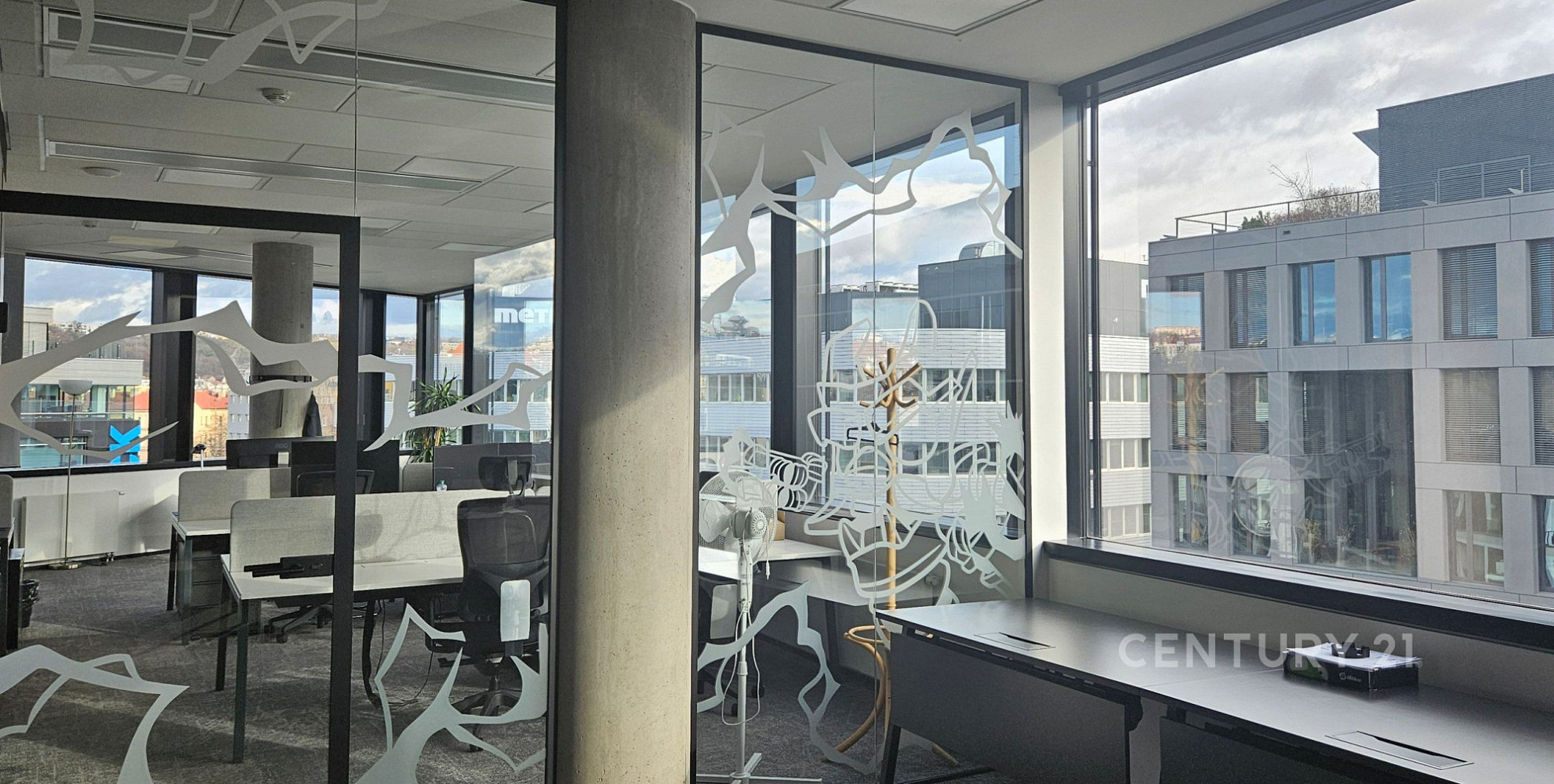 Fotka 9 z 12