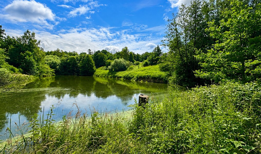 Prodej vodní plochy 25 771 m², Dačice – náhled fotky 12