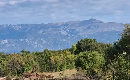 Prodej stavebního pozemku 4 616 m², Benkovac, Zadarska županija, Chorvatsko