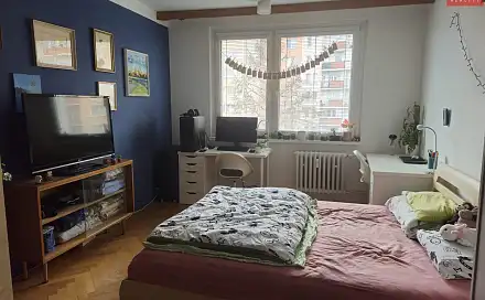 Pronájem pokoje 20 m², Čajkovského, Olomouc - Nová Ulice
