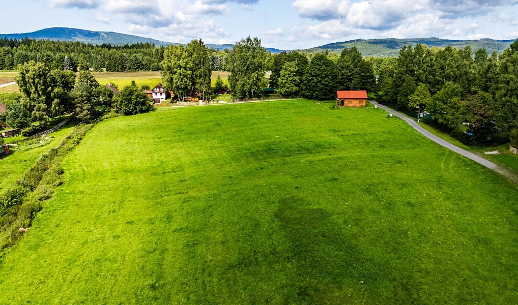 Prodej pozemku 9 752 m², Nová Pec – náhled fotky 5