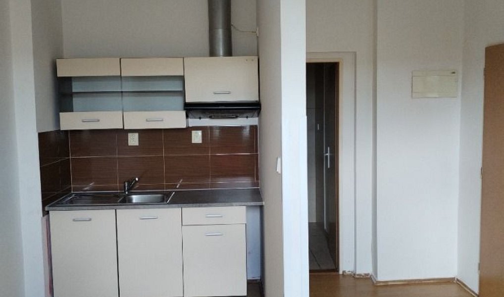 Pronájem bytu 1+kk 19 m², Ústí nad Labem – náhled fotky 2