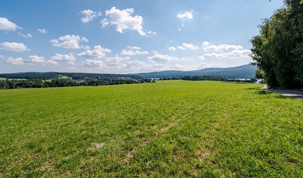Prodej louky 17 984 m², Frymburk – náhled fotky 12