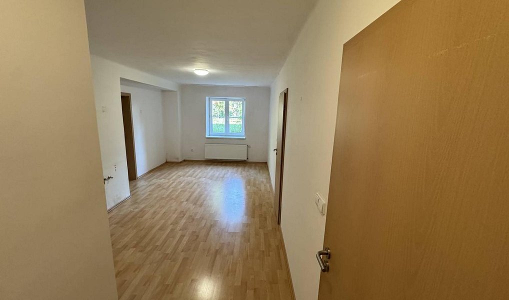 Pronájem komerčního objektu (jiného typu) 51 m², Brno – náhled fotky 4