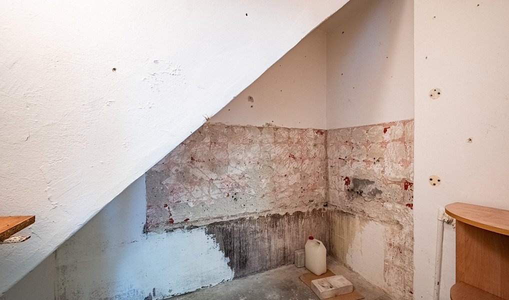Prodej domu 112 m² s pozemkem 747 m², Vlkoš – náhled fotky 12