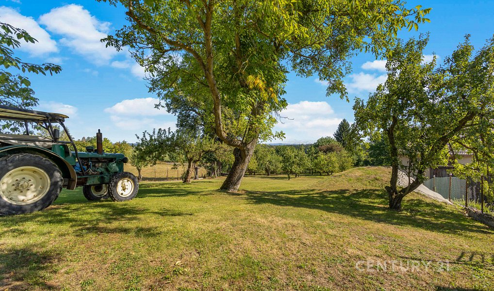 Prodej domu 190 m² s pozemkem 3 520 m², Javorník – náhled fotky 28