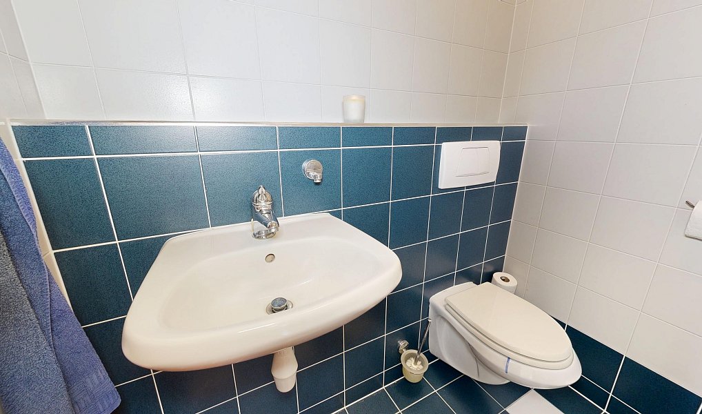 Prodej domu 220 m² s pozemkem 810 m², Brno – náhled fotky 23