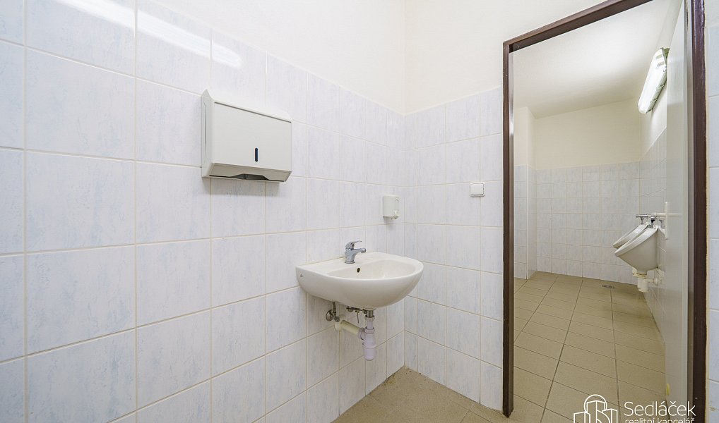 Prodej výrobních prostor 3 089 m², Krásno – náhled fotky 18