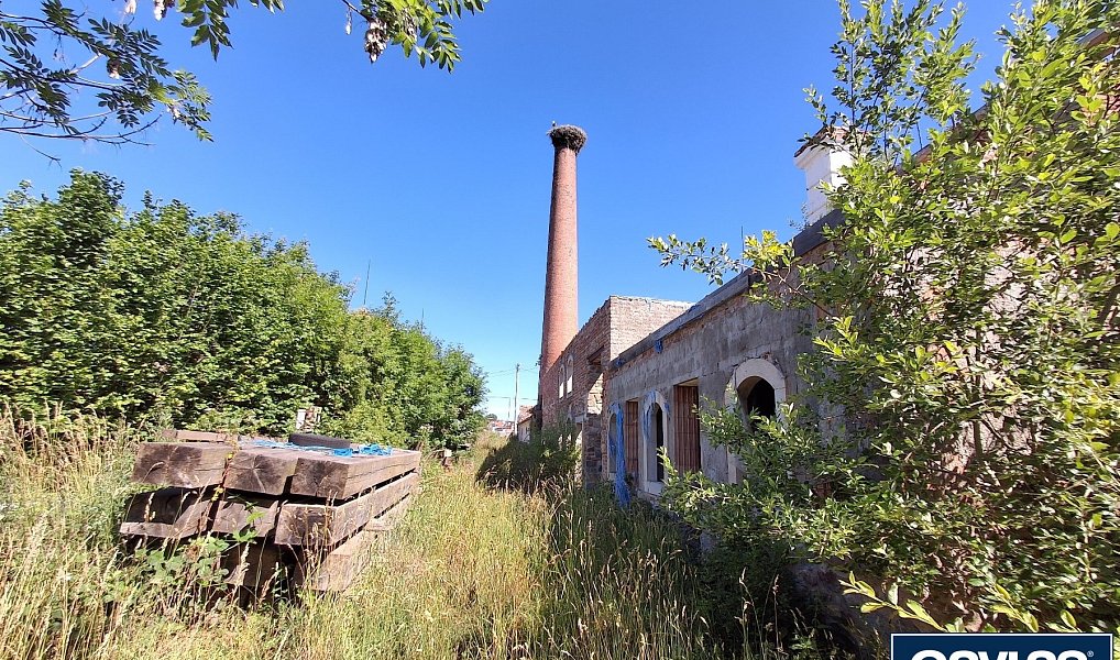 Prodej komerčního pozemku 12 765 m², Šebkovice – náhled fotky 21