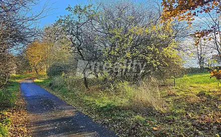 Prodej stavebního pozemku 1 000 m², Zbinohy, okres Jihlava