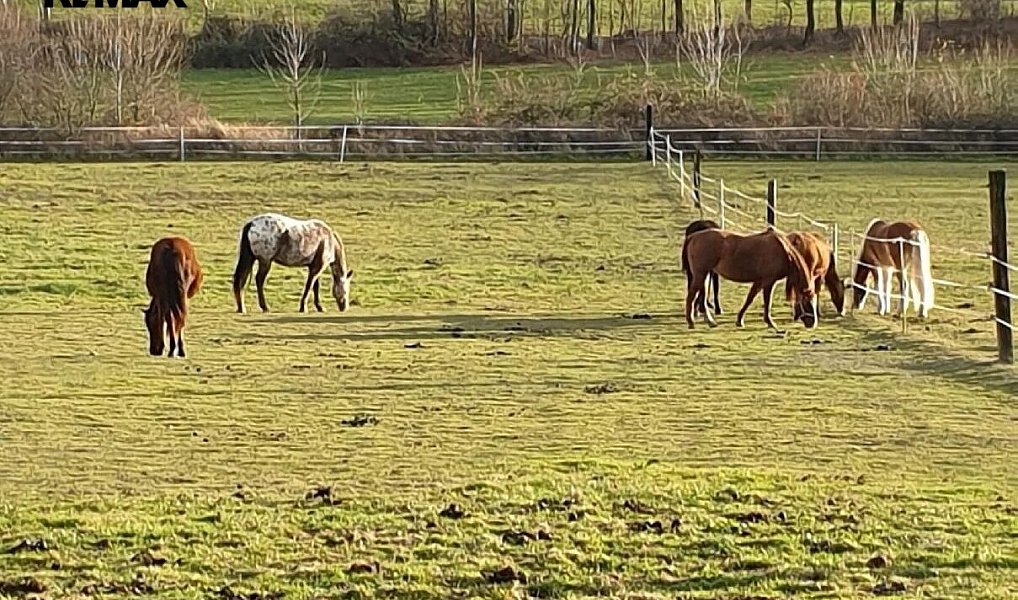 Prodej zemědělského objektu 2 400 m², Baška – náhled fotky 14