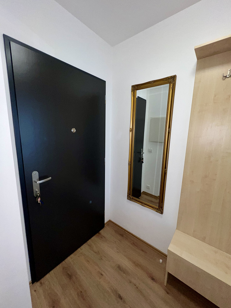 Prodej bytu 1+kk 42 m² – další