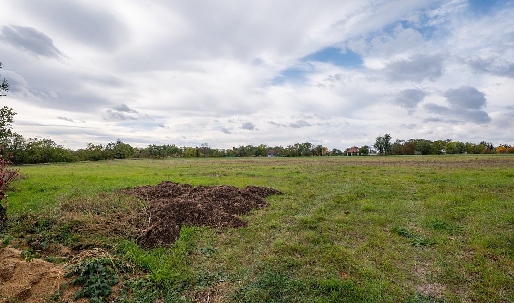 Prodej stavebního pozemku 12 678 m², Velvary – náhled fotky 6