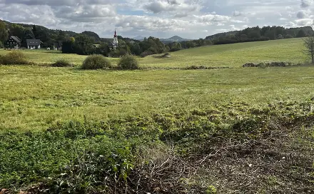 Prodej stavebního pozemku 6 235 m², Volfartice, okres Česká Lípa