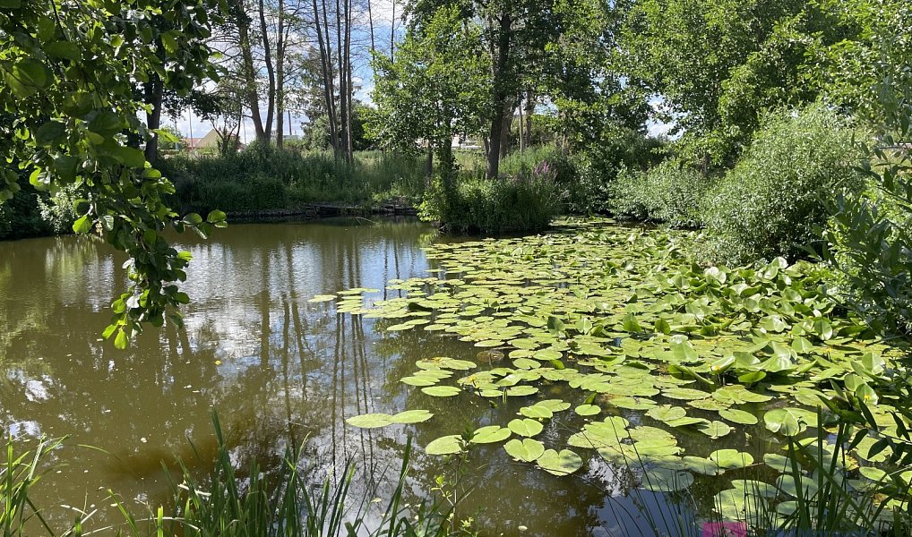 Prodej komerčního pozemku 4 463 m², Břeclav – náhled fotky 6