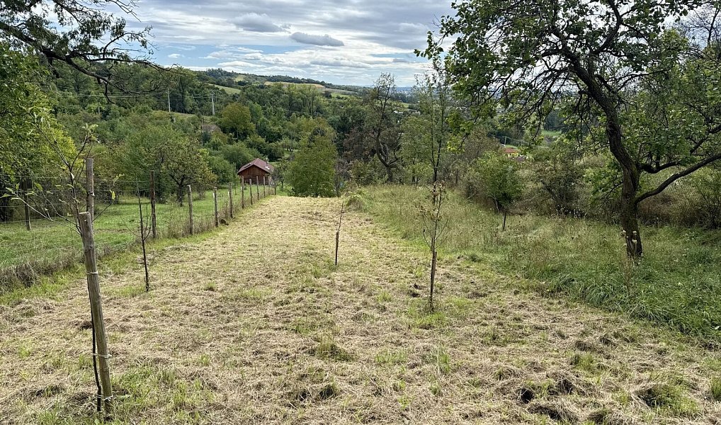Prodej chaty/chalupy 1 140 m² s pozemkem 340 m², Kyjov – náhled fotky 10