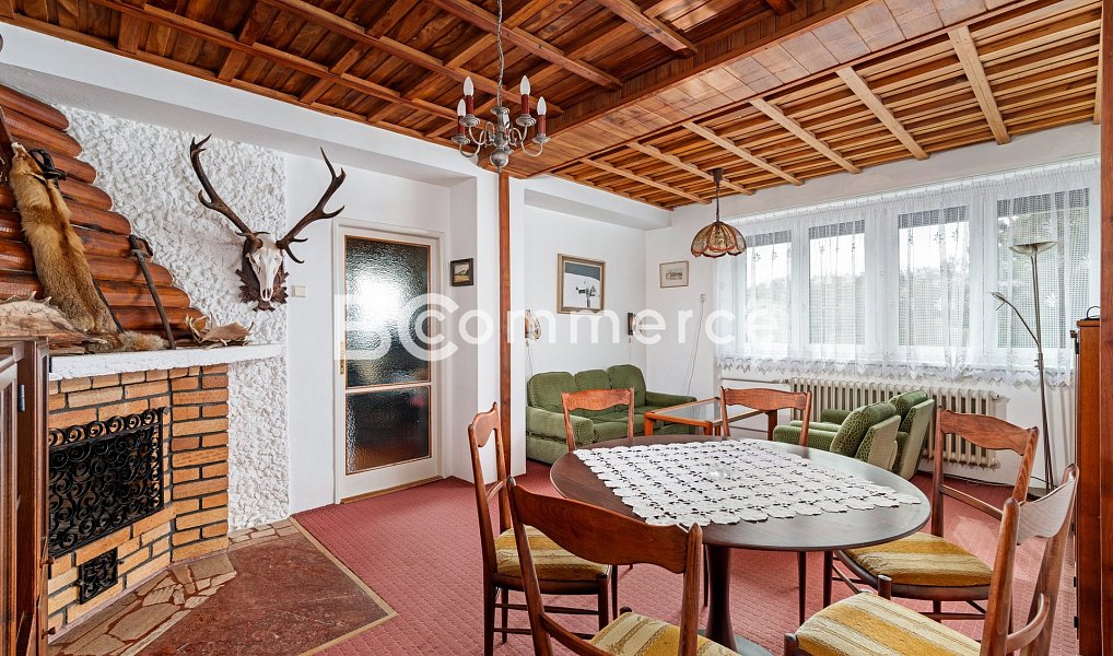 Prodej domu 270 m² s pozemkem 4 446 m², Dolní Kounice – náhled fotky 16