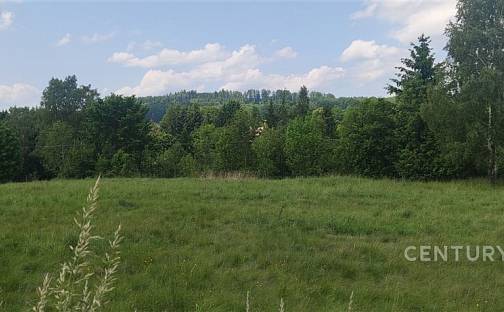 Prodej stavebního pozemku 1 262 m², Staré Křečany, okres Děčín