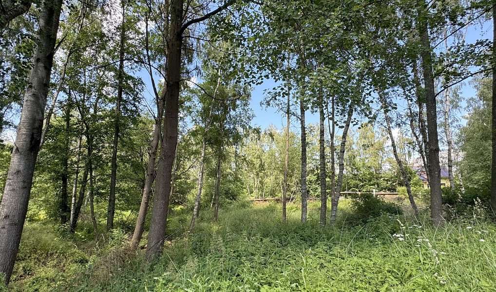 Prodej pozemku 3 000 m², Karlovy Vary – náhled fotky 3