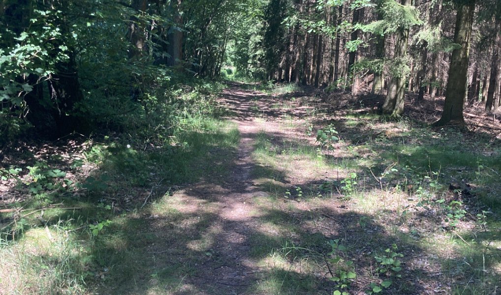Prodej pole 3 130 m², Lomnice nad Popelkou – náhled fotky 8