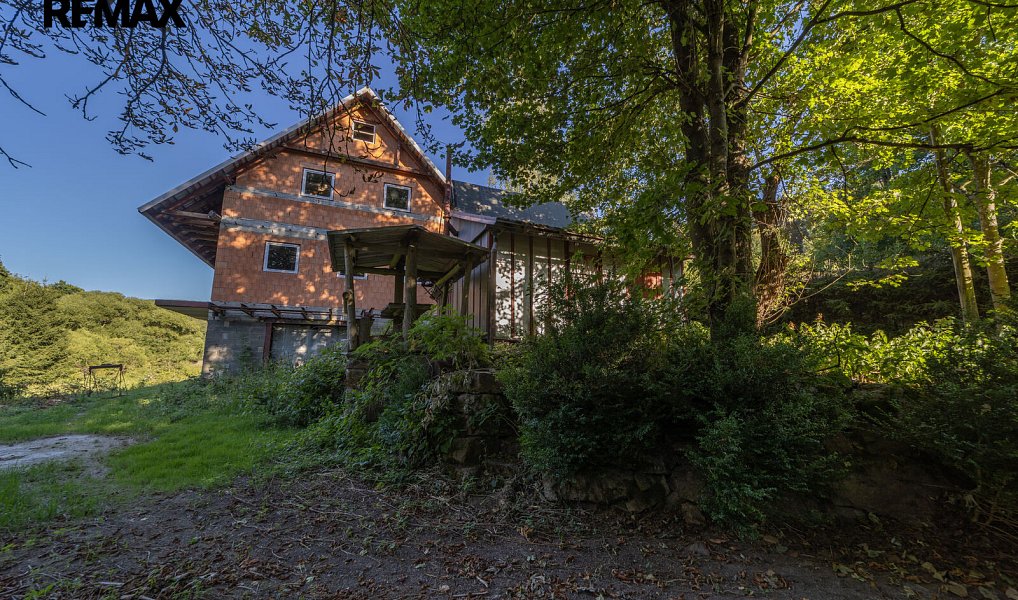 Prodej domu 440 m² s pozemkem 3 345 m², Červená Voda – náhled fotky 5