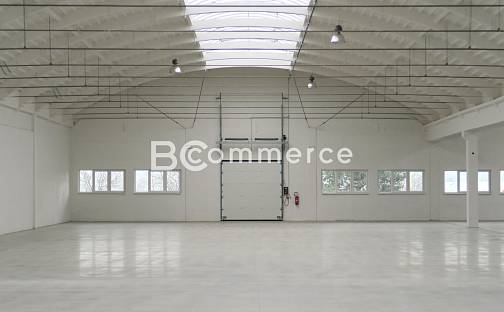 Pronájem skladovacích prostor 1 124 m², Holubice, okres Vyškov