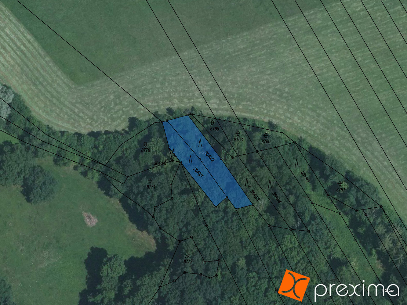 Prodej lesa 707 m²