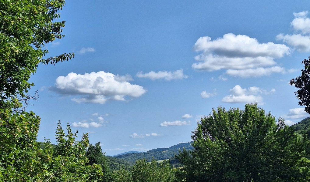 Prodej domu 80 m² s pozemkem 18 929 m², Žítková – náhled fotky 6