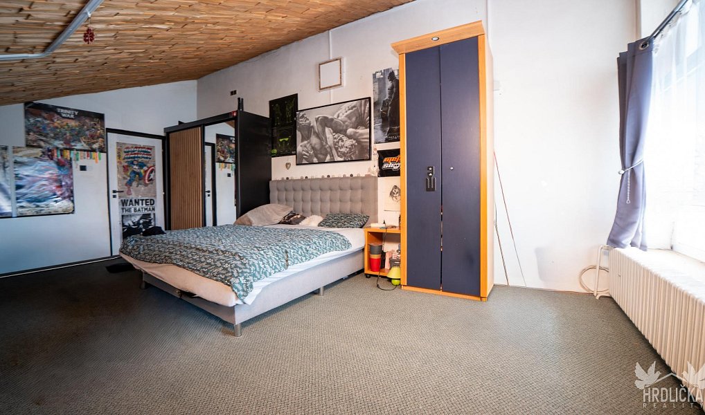 Prodej domu 350 m² s pozemkem 1 197 m², Mirovice – náhled fotky 22