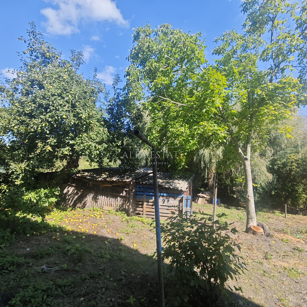 Fotka 12 z 30