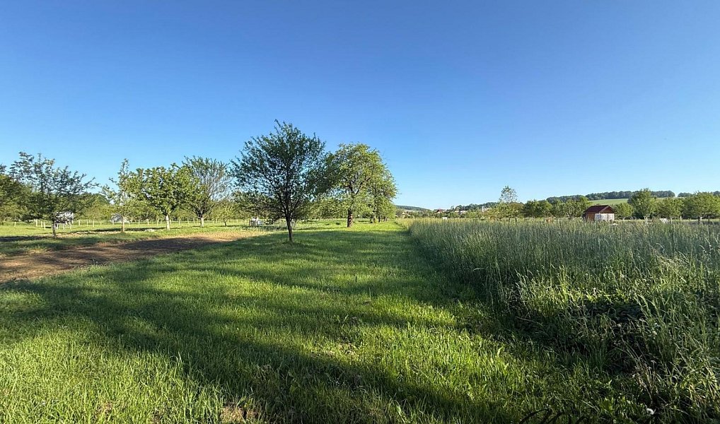 Prodej zahrady 1 297 m², Záhorovice – náhled fotky 8