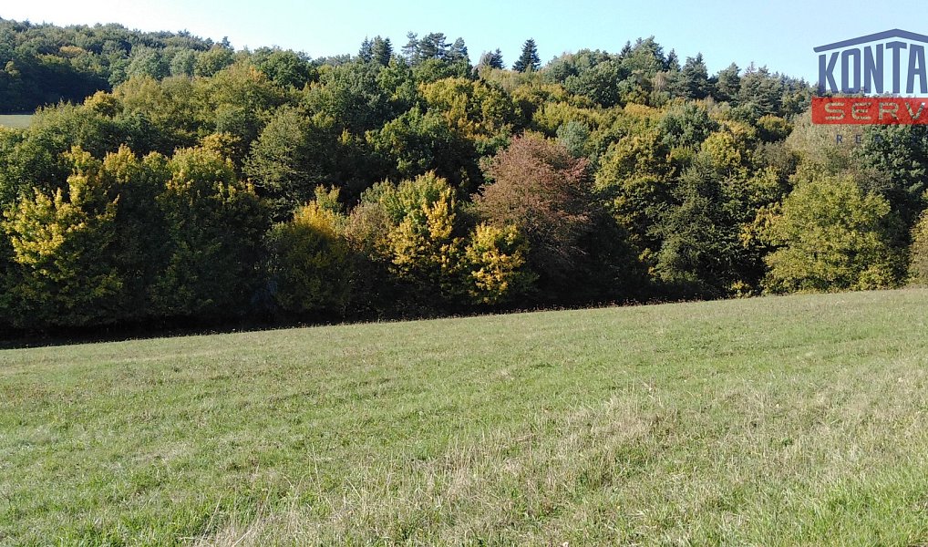 Prodej pole 9 092 m², Podkopná Lhota – náhled fotky 8