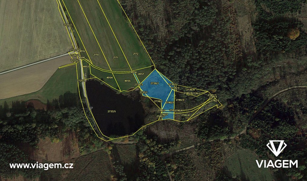 Prodej lesa 4 700 m², Jemnice – náhled fotky 4