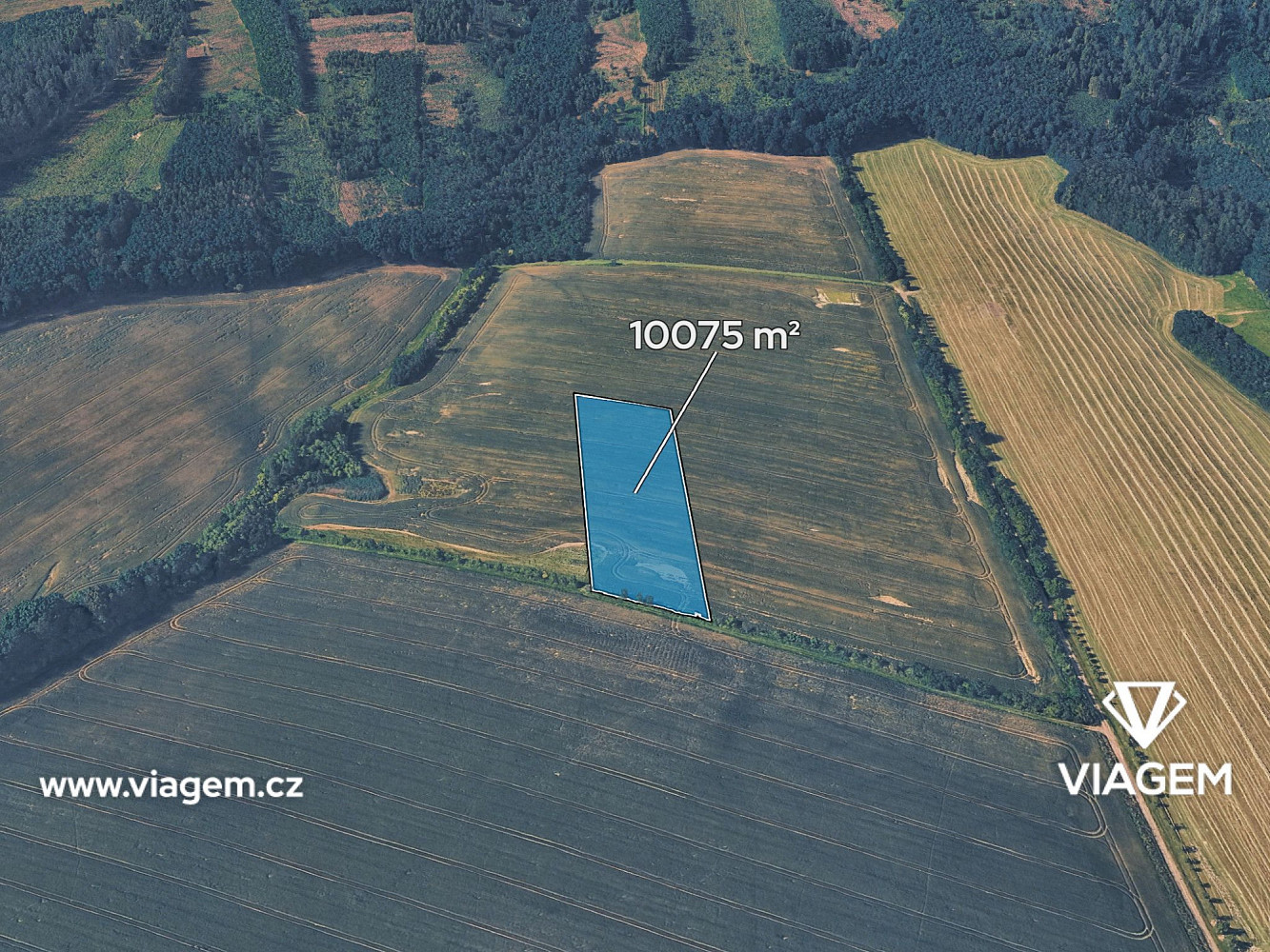 Prodej pole 5 037 m²