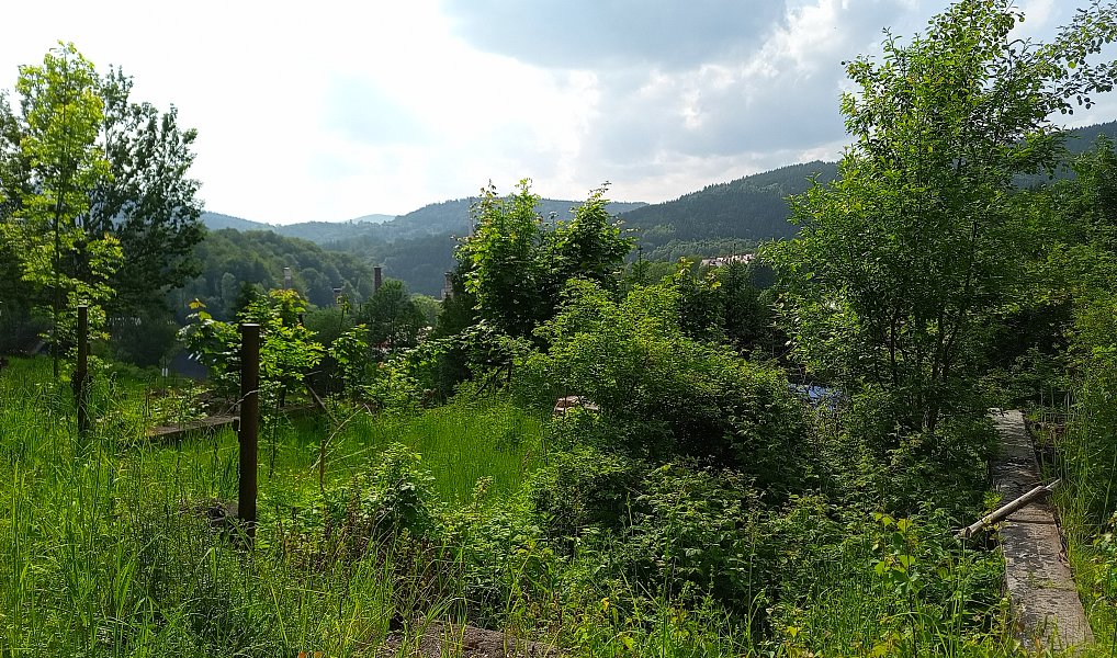 Prodej stavebního pozemku 2 111 m², Desná – náhled fotky 12