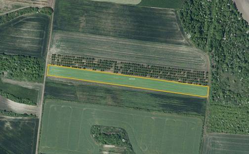 Prodej pole 8 289 m², Želkovice, okres Louny