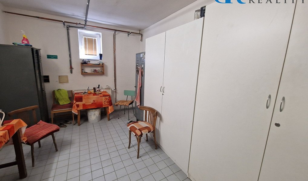 Prodej obchodních prostor 1 200 m², Horní Moštěnice – náhled fotky 19