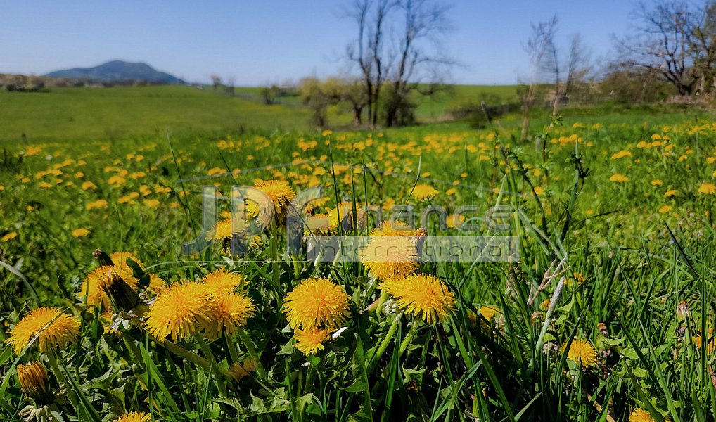 Prodej stavebního pozemku 3 539 m², Lovečkovice – náhled fotky 13