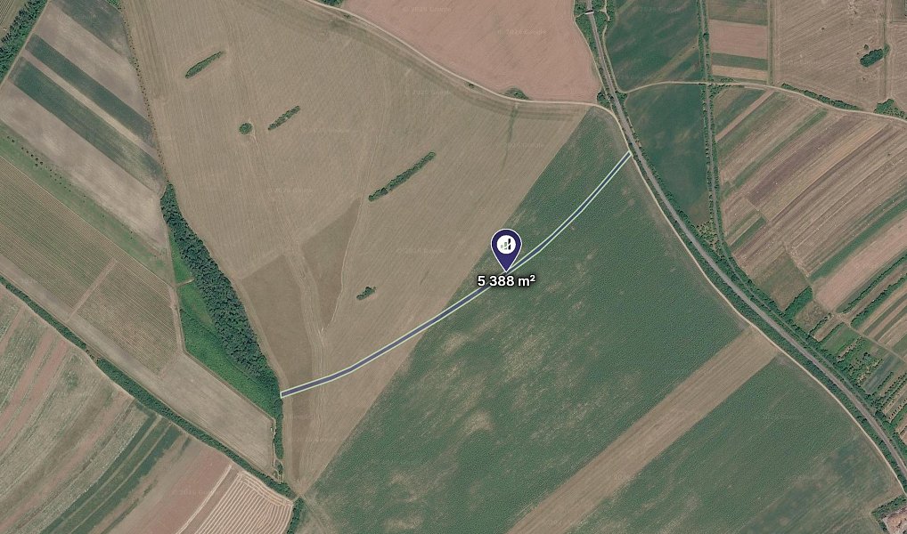 Prodej pozemku, 5388 m², Hodonín, Velká nad Veličkou