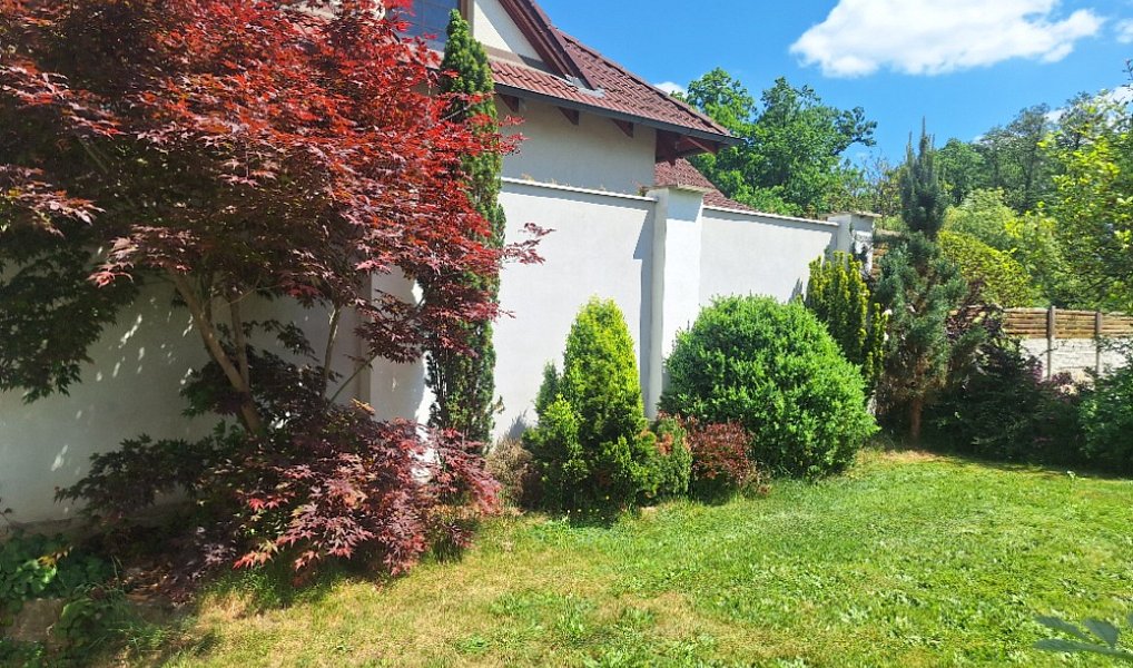 Prodej domu 230 m², Soběslav – náhled fotky 9