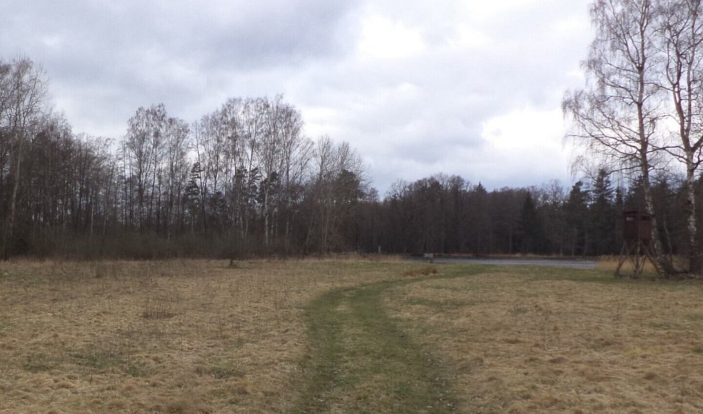 Prodej pozemku 6 727 m², Chlum u Třeboně – fotka 1 z 7