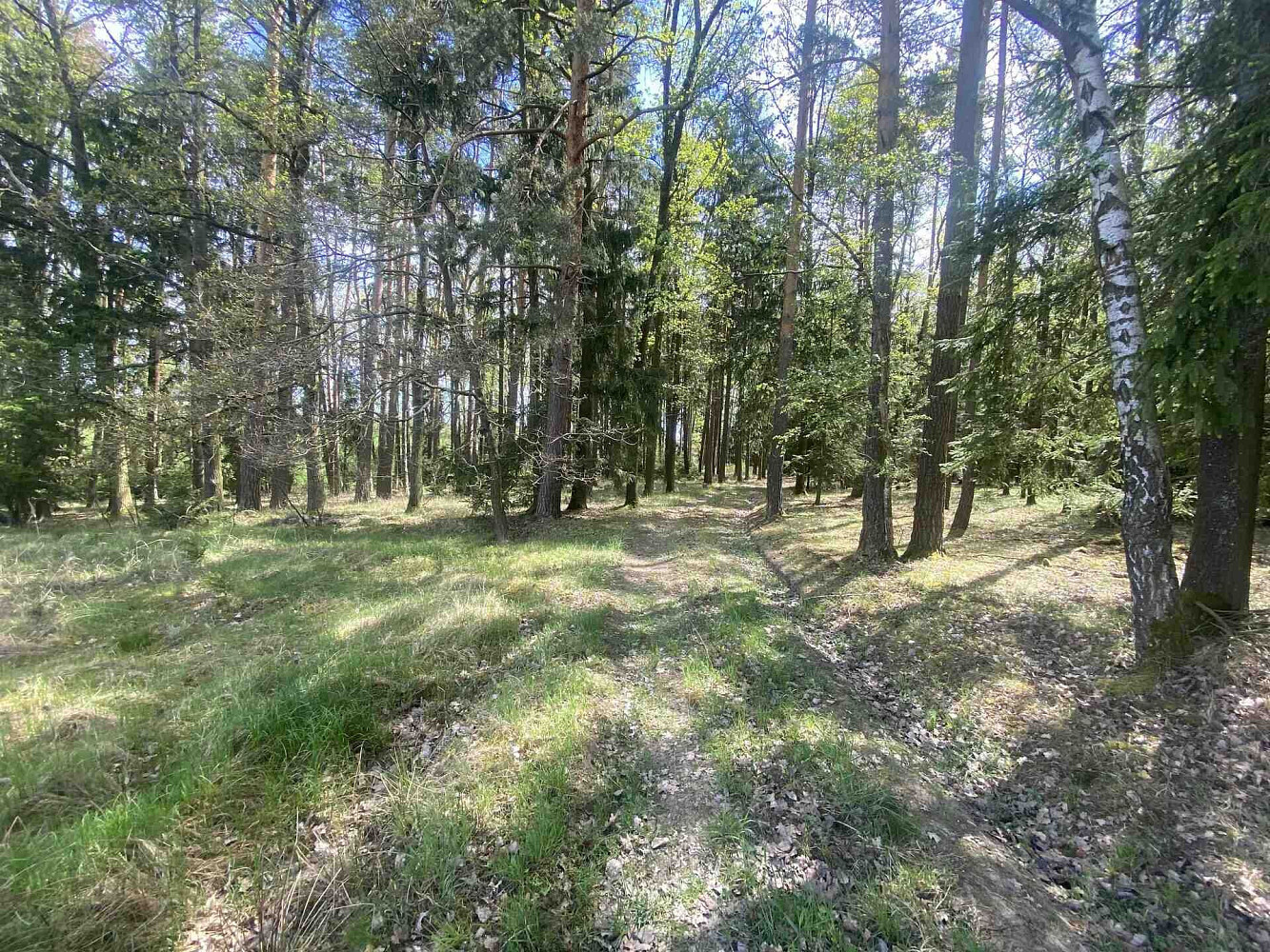 Prodej pole 5 875 m² – fotografie 4